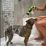 Pet grooming kit Profile Picture