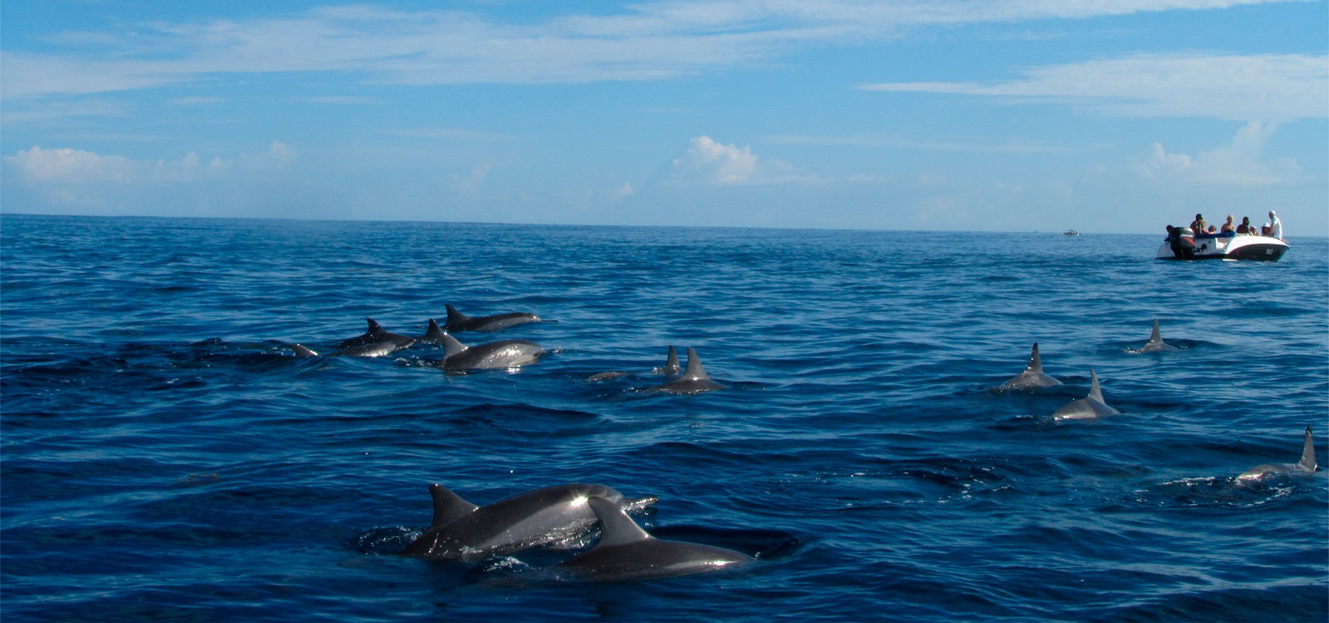 Mauritius fishing trip, Fishing adventure Mauritius