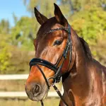 designbyjakida Profile Picture