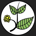 Kratom Held profile picture