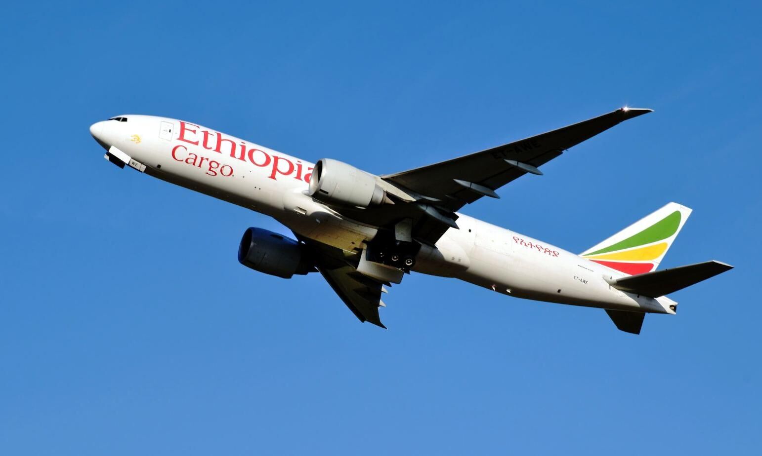 Freightos partners with Megacap Aviation for digital cargo access