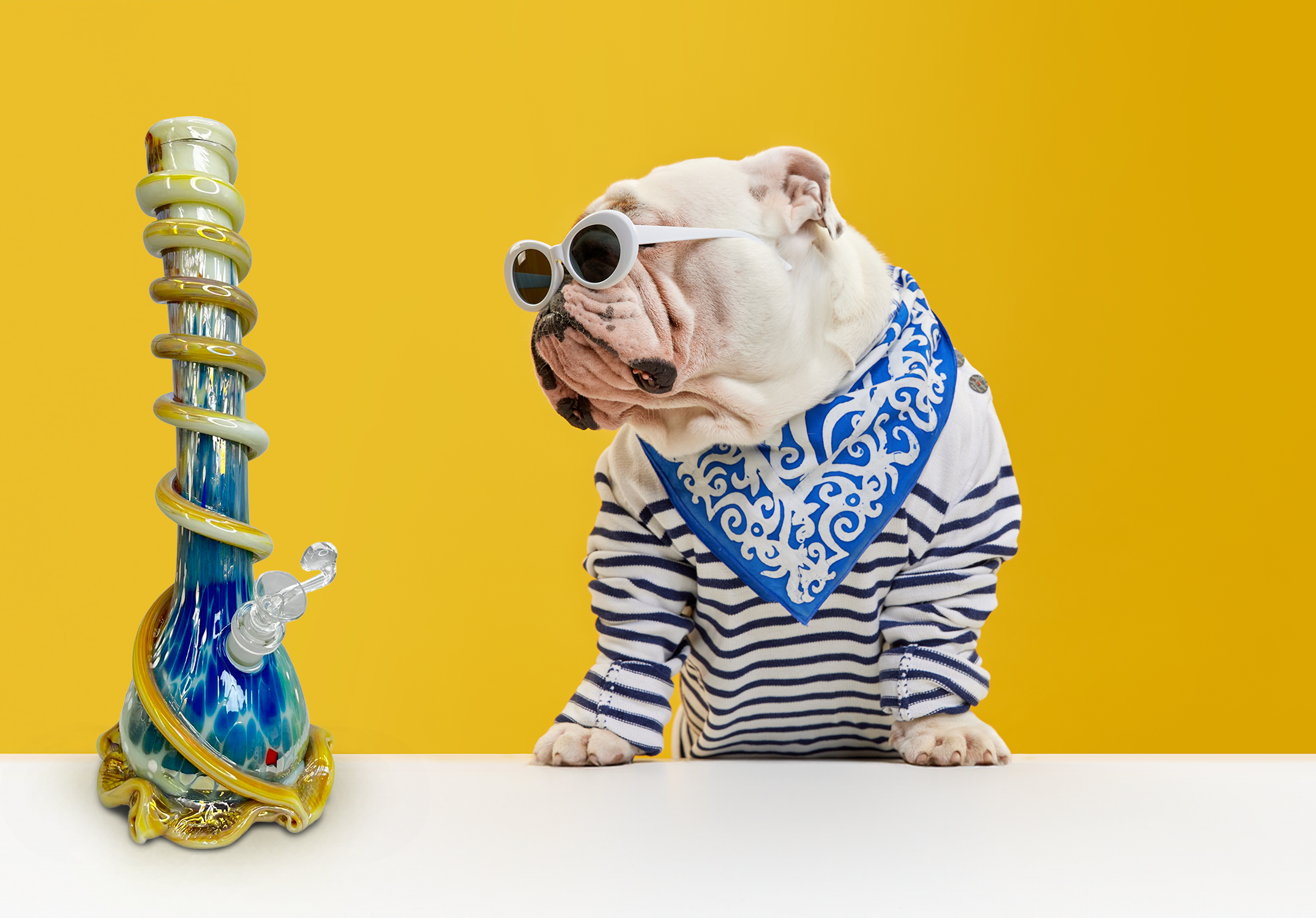 Top Reasons to Buy a Bong with a Lifetime Guarantee in 2025 - Special K Glass