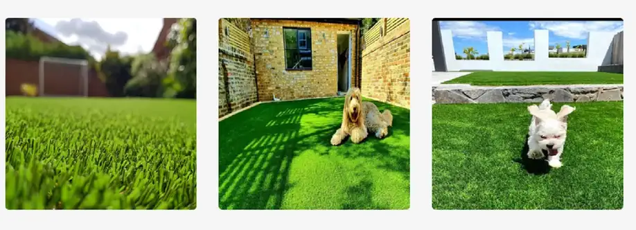 Evergreen Turf Supply Cover Image