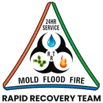 Rapid Recovery Team profile picture