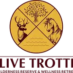 Olive Resort profile picture