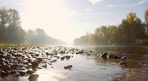 How a Neuropathy Doctor in Bronx County Can Help You Live Pain-Free Again – @ryechiro on Tumblr