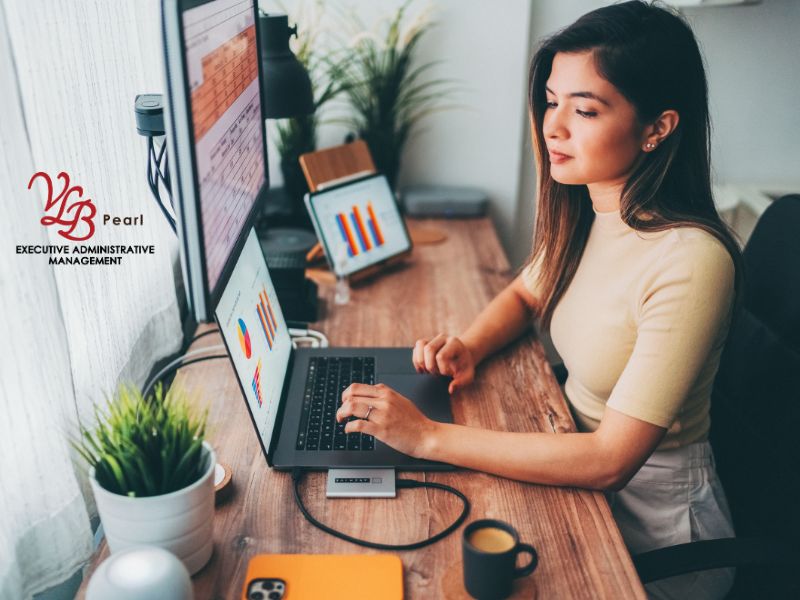 Why Every Entrepreneur Needs Administrative Support - VLBPearl Executive Administrative Services