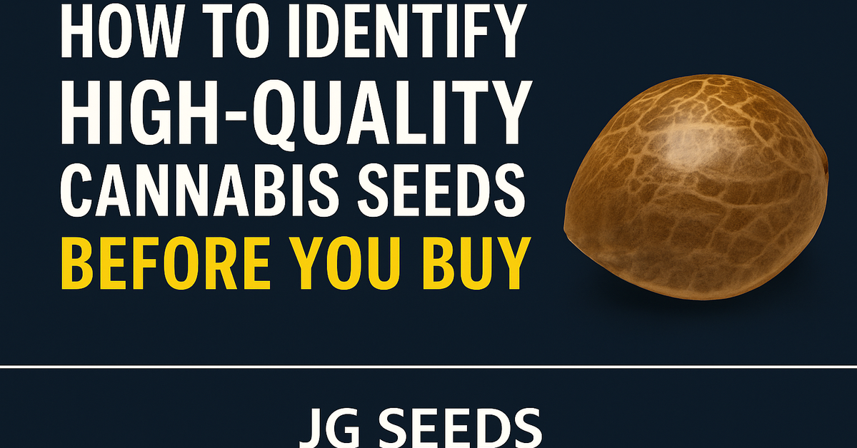 How to Identify High-Quality Cannabis Seeds Before You Buy