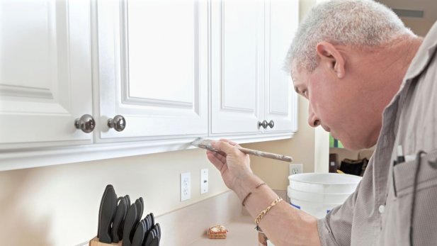 New Year, New Kitchen Look: Why Homeowners Are Painting Cabinets Instead of Replacing Them in 2026 Article - ArticleTed -  News and Articles