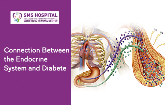 Connection Between the Endocrine System and Diabetes