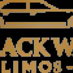 Black Way limo Profile Picture