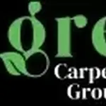 Mr Green Carpet Tile And Grout Cleaning profile picture