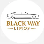 Black Ways Limo profile picture
