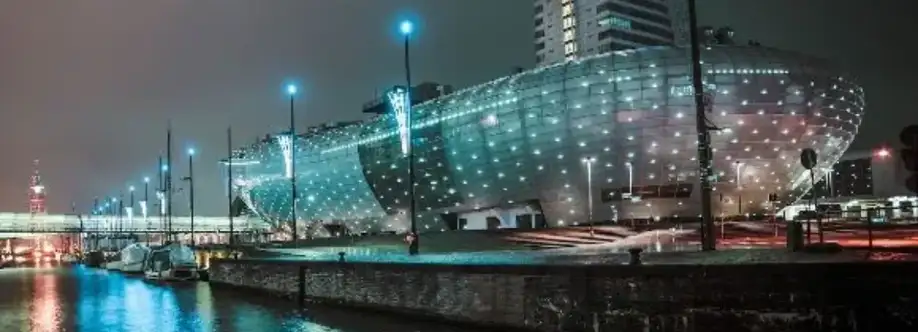 LEIZUR LTD Cover Image