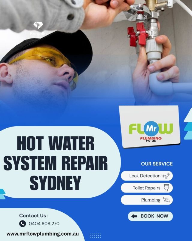 Sydney’s Most Reliable Choice for Hot Water System Repair and Maintenance – @mrflowplumbing on Tumblr