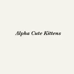 Alpha Cute Kittens profile picture