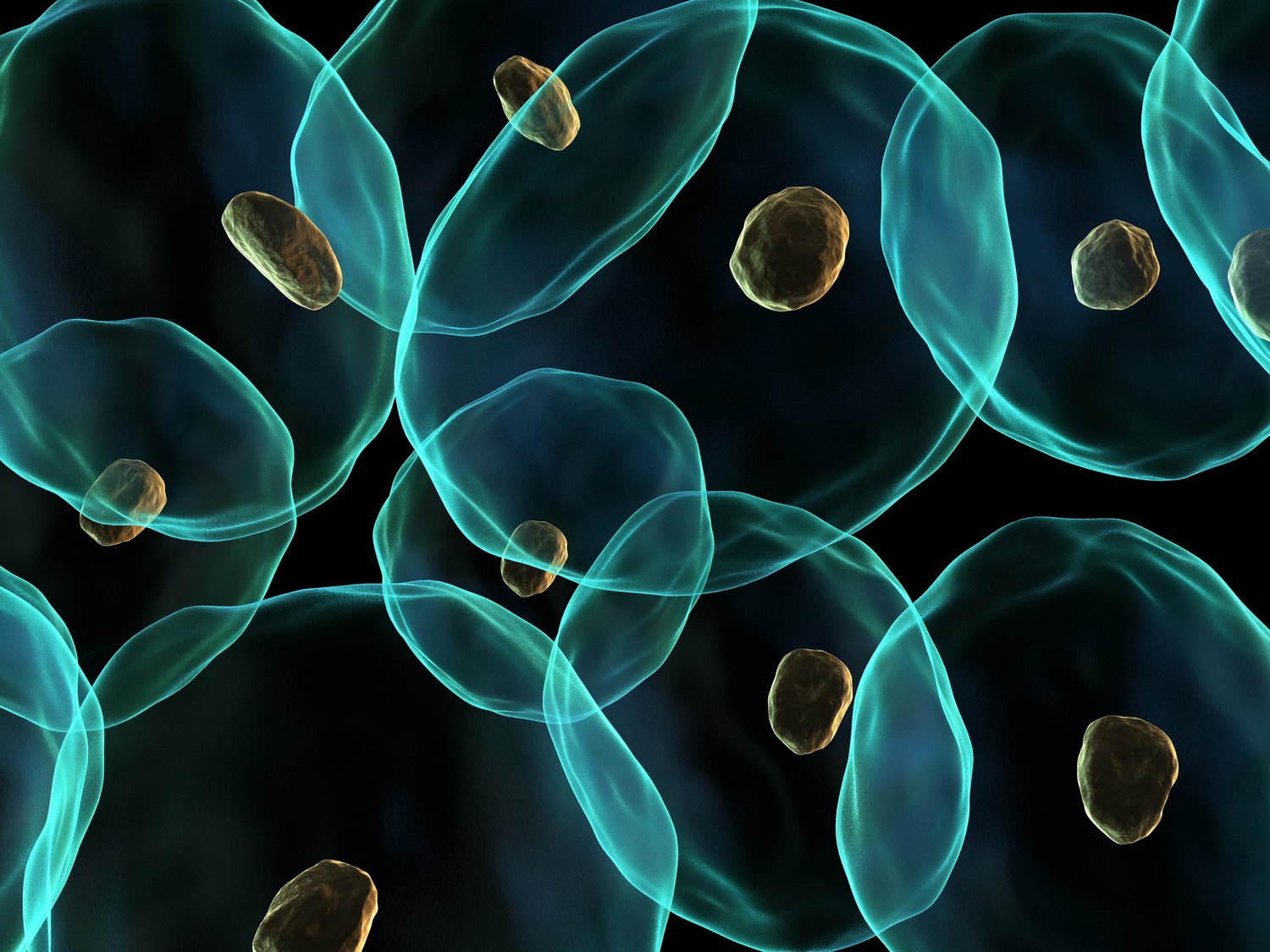 Relational Movements - Best Therapy