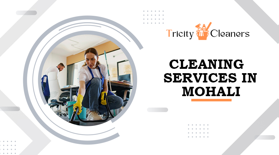 Choosing the Best Housekeeping Service in Chandigarh