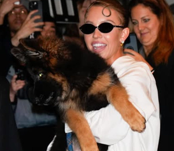 Enjela - Entertainment News, Celebrity Gossip  Movie Updates