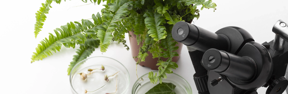 Anthony "Tony" Mattei Cover Image