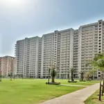 shahid ansari profile picture