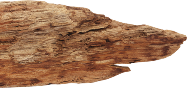 Best Woodturning Teaching Studio in Canada 2025