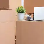 kavya yadav profile picture