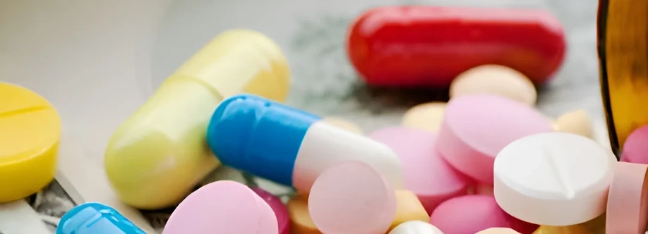 Prasenjit Bhaumik USA Cover Image