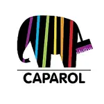 Caparol UAE Profile Picture