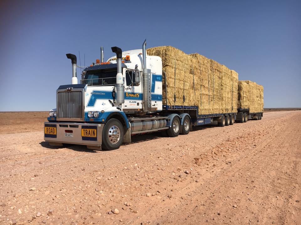 Questions to Ask Before Selecting a Hay Delivery Service