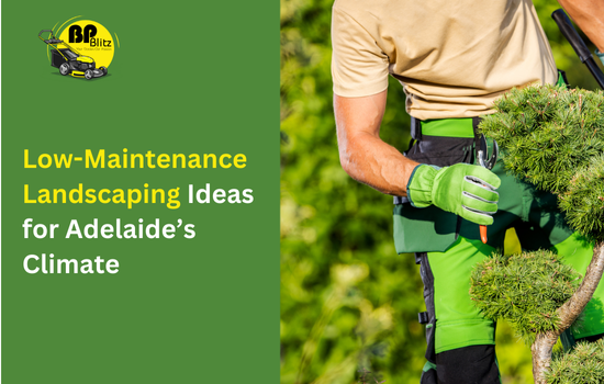 Low-Maintenance Landscaping Ideas for Adelaide’s Climate