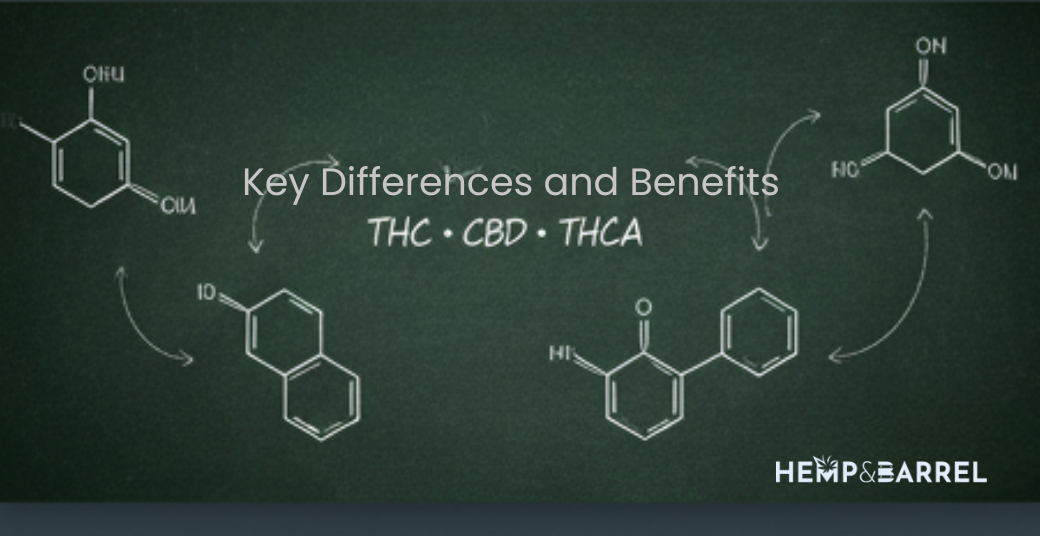CBD vs THC vs THCA: Key Differences and Benefits - Hemp  Barrel