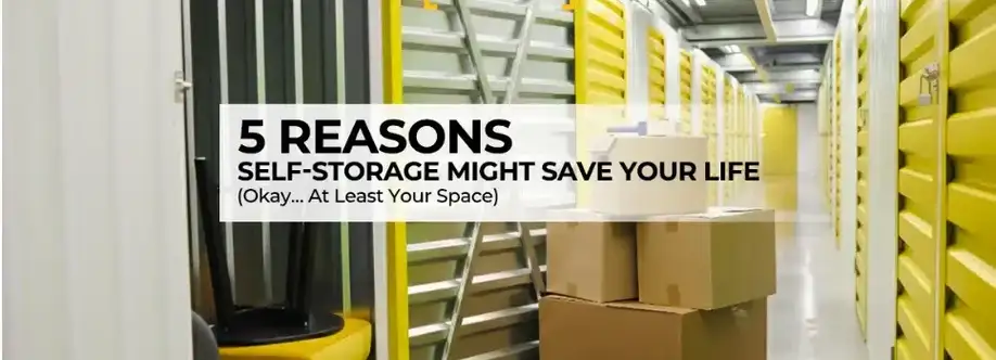 Your Space Doctor Cover Image