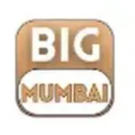The Big Mumbai Game Profile Picture
