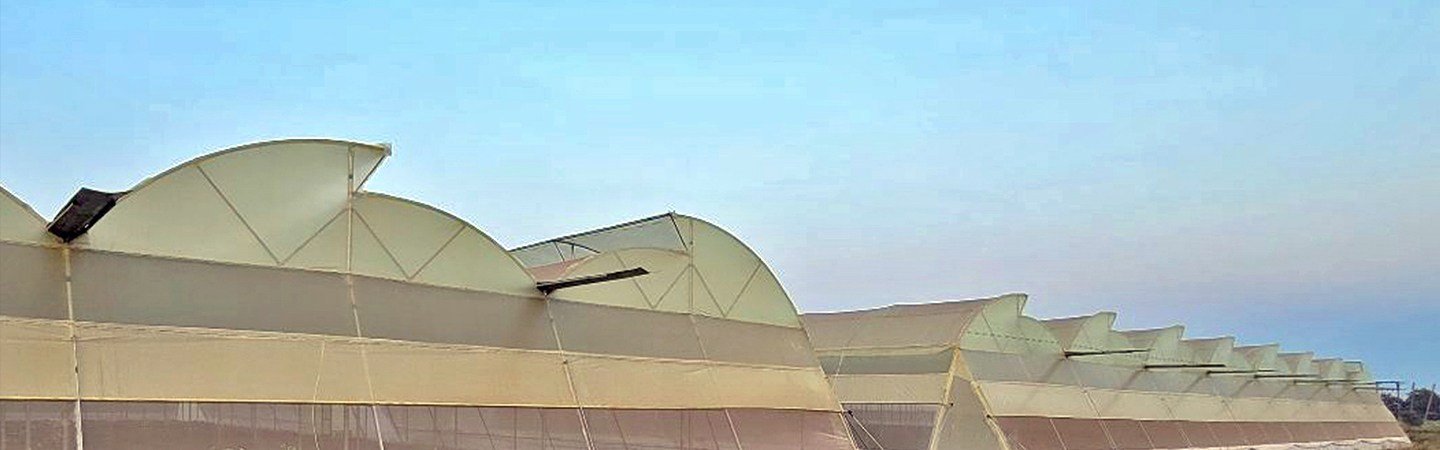 Ginegar Suncover 205N - UV Blocking Film for Bushy Crop Protection