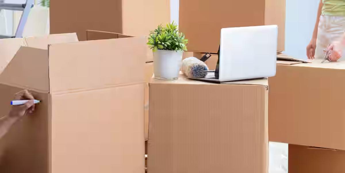 Beginner’s Guide To Booking Packers And Movers In Surat | Author Kavya yadav | Sociomix