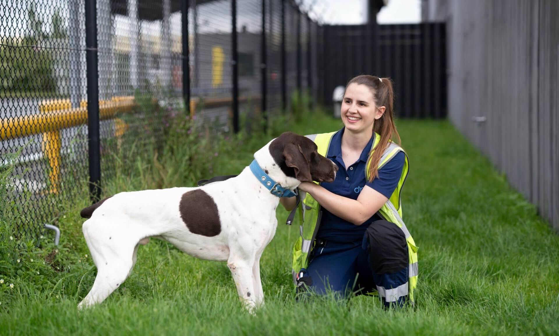 Air cargo’s furry passengers: Safety, growth and trends
