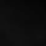 Daniel Chris Profile Picture