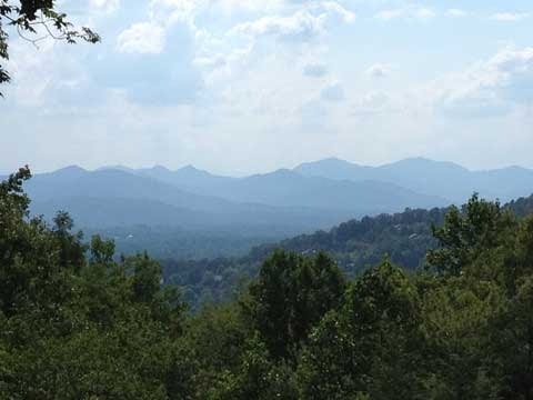 Why Tree Trimming Services in Hendersonville Are Essential for Healthy, Beautiful Landscapes