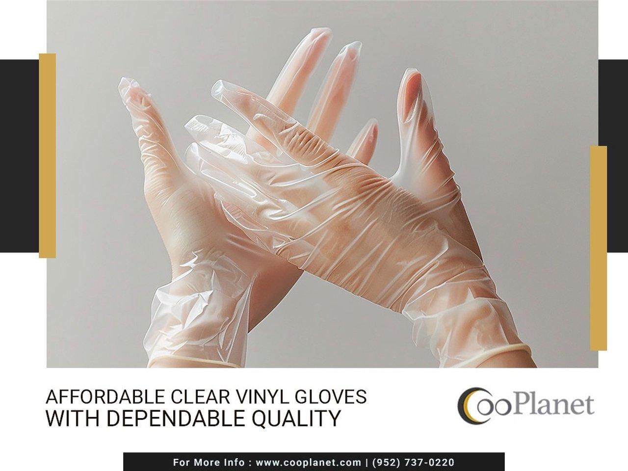 Powder-Free Disposable Vinyl Gloves for Food Service Help Maintain Hygiene Standards | Articles | cooplanet | Gan Jing World - Technology for Humanity | Video  Movie Streaming