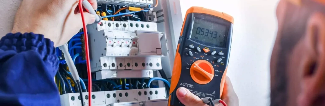 DW Elektro AS Cover Image