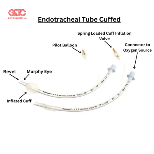 Buy Trusted Endotracheal Tube Cuffed – GSTC Global Exporter