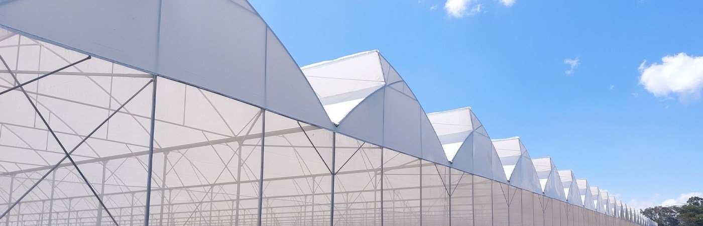 Ginegar Driplock Diffused: 87% Transmission, 62% Diffusion for Uniform Growth