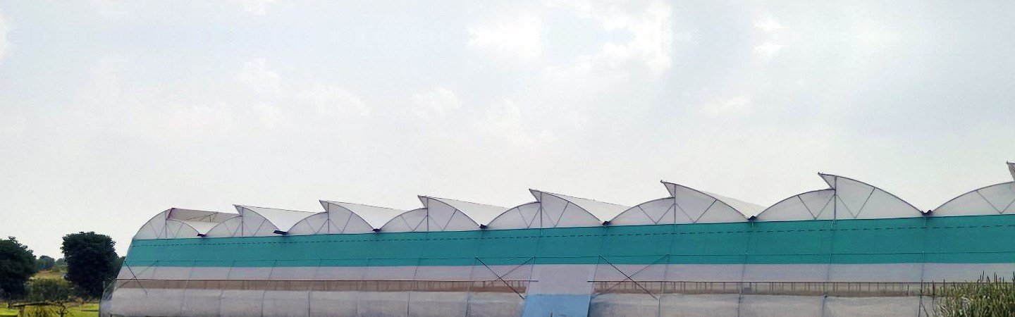 Ginegar Driplock Cool Greenhouse Film - High Diffusion for Hot Climates