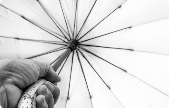 A Direct Lender providing Best Loans for Small, Medium, and Large Businesses | Avon River Ventures