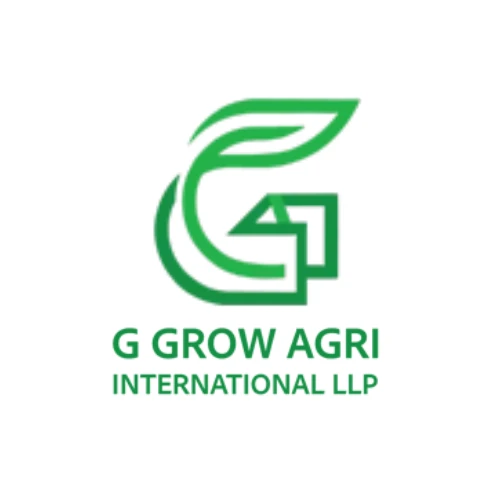 Premium Onion Minced Shelf Stability and Food Safety Explained -  WriteUpCafe