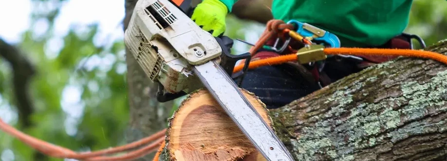 Veteran Tree Services Cover Image