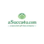 Succulent Arrangements profile picture