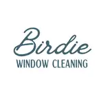 Birdie Window Cleaning Profile Picture