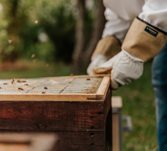 AI-Powered Investment Forecasting Platform | Inveto